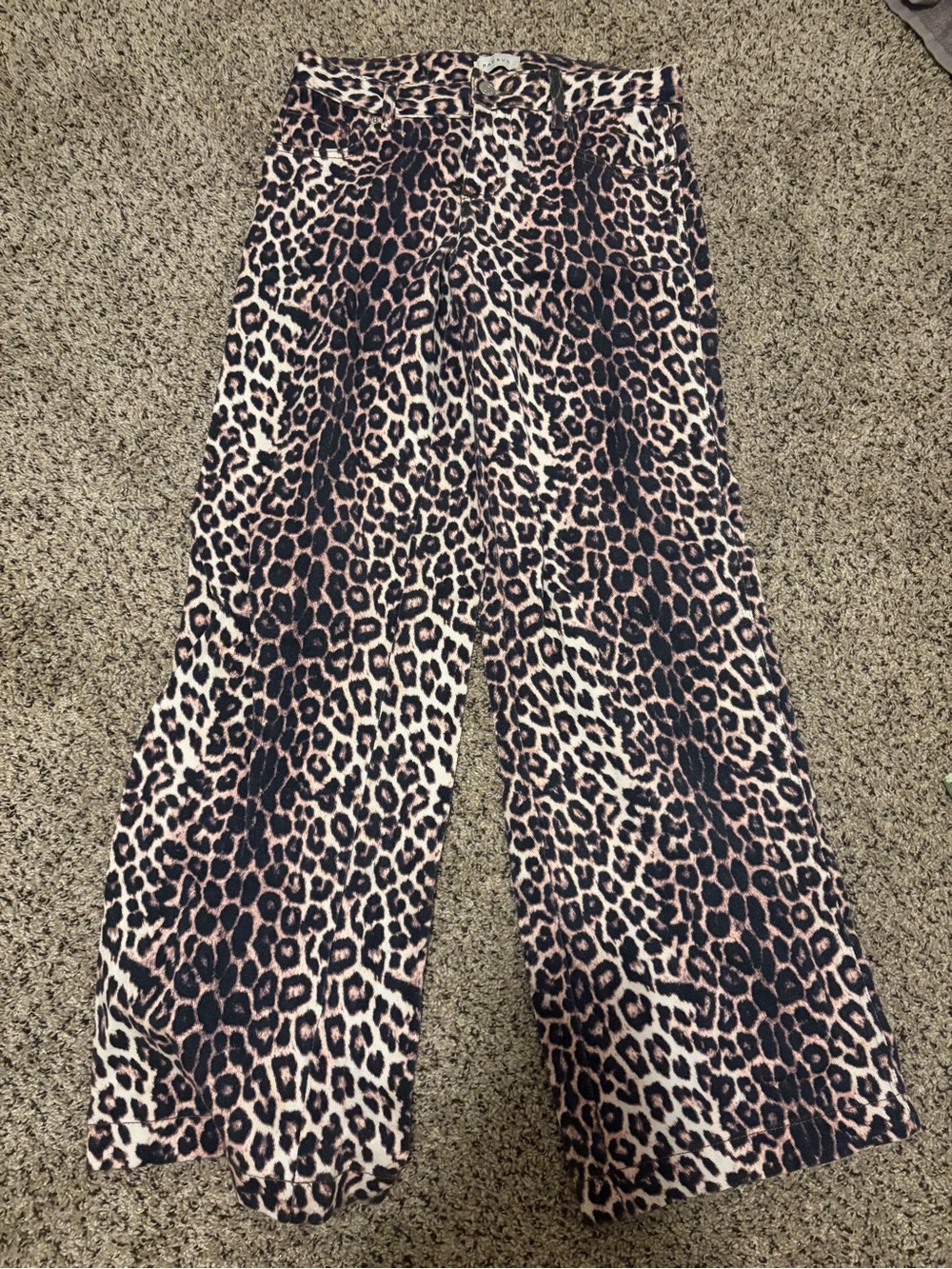 Pacsun Casey Low Rise Baggy Jeans
